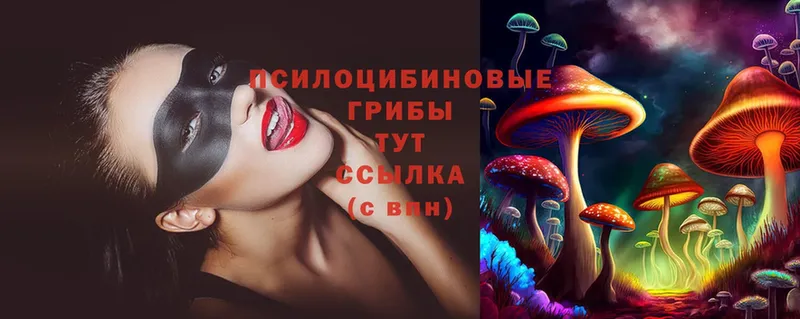 Галлюциногенные грибы Psilocybe  Юрга 